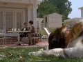¿Qué pasó con la actriz Sarah Rose Karr? La recordarás por el personaje de Emily Newton en Beethoven, entérate dónde está ahora.