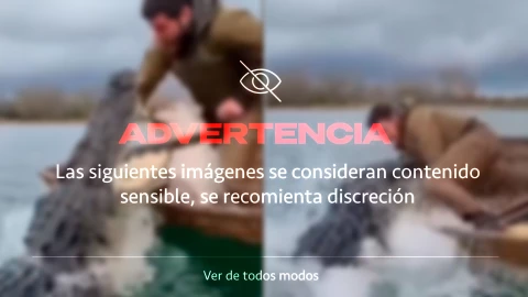 VIDEO | Cocodrilo ataca y arranca el brazo de un hombre cuando pescaba junto a su mascota