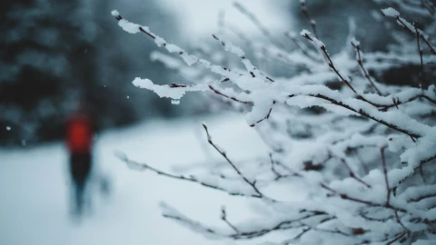 Prepárate: Frente Frío 17 causará heladas y fuertes rachas en este día