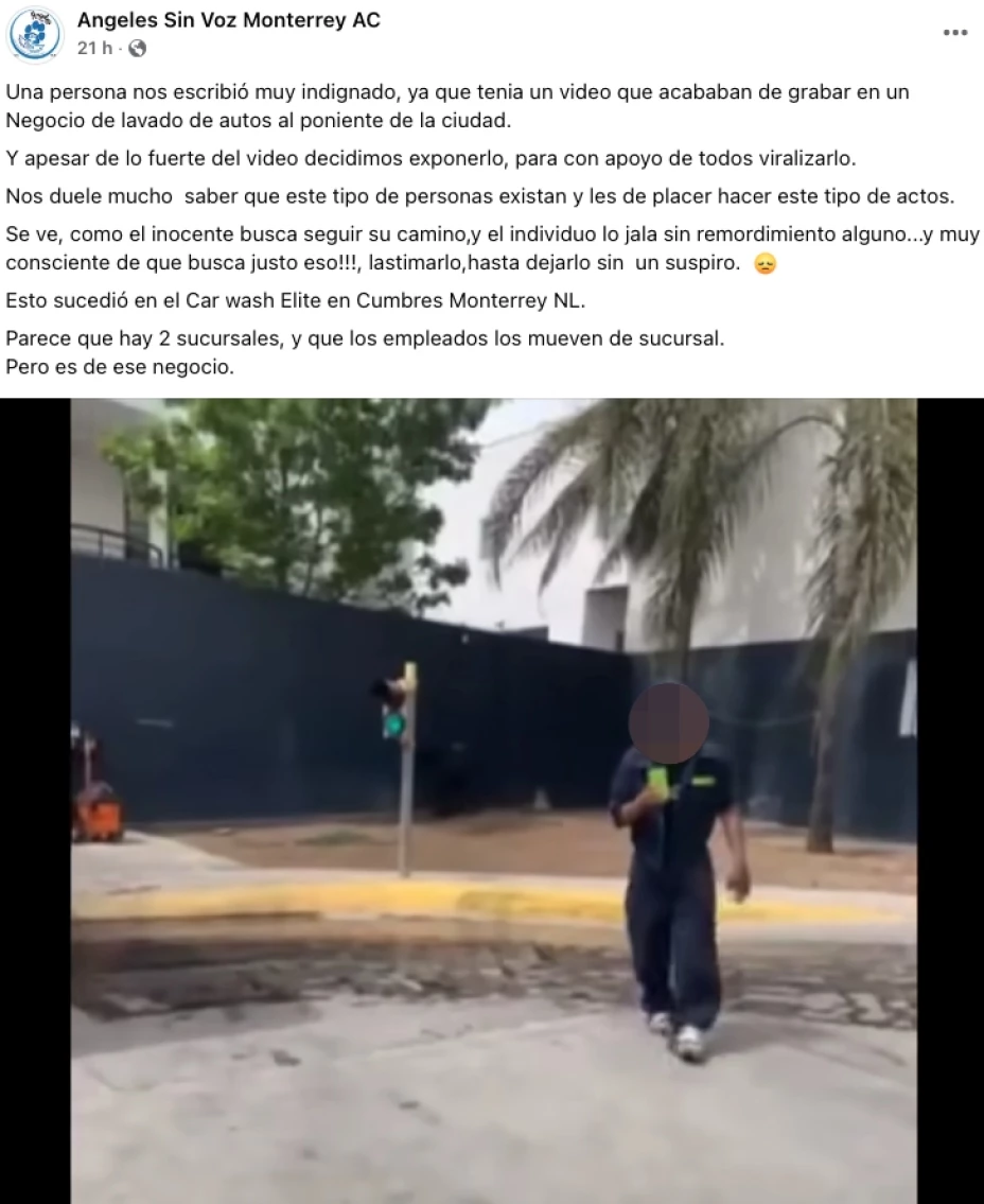 Presunto maltrato animal acabó con la vida de una zarigüeya en Monterrey