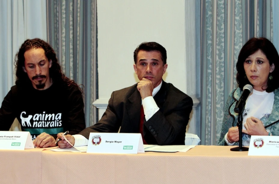 Sergio Mayer podría ser diputado plurinominal por el PRD