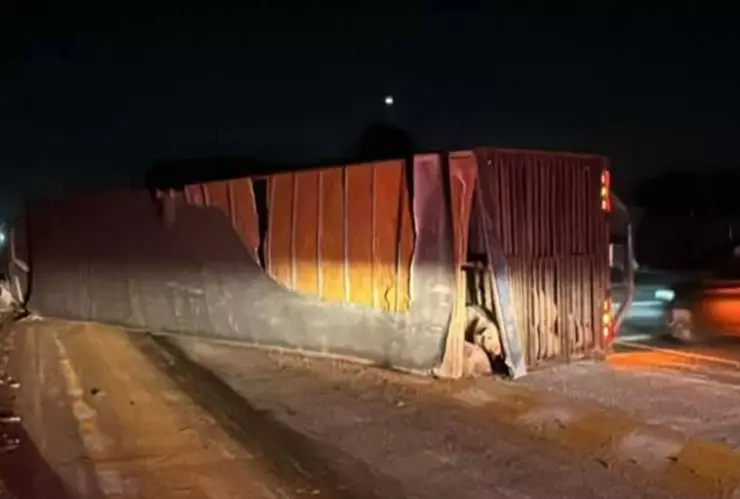 volcadura camión cerditos autopista méxico puebla