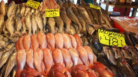 cuaresma 2023 tips para comprar pescado y mariscos frescos