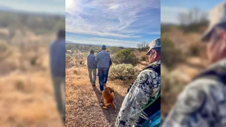 busqueda de abuelito