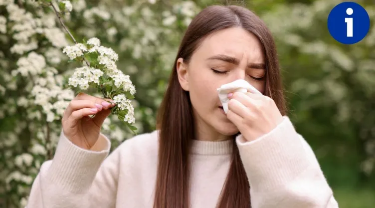 Las mejores plantas para tratar las alergias durante la primavera, según la IA.jpg