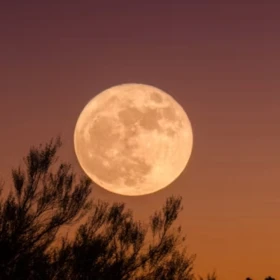 ¡Luna de Cosecha!