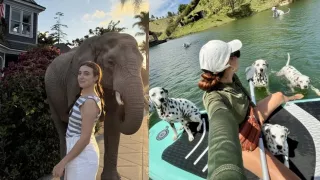 Pasos para agregar animales a tus fotos con IA: ¿Cuál es el prompt perfecto?