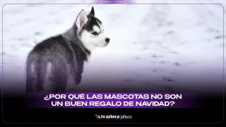 WhatsApp Image 2025-11-27 at 2.32.45 PM.jpeg