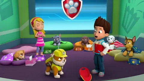 Paw Patrol y Plim Plim timidez