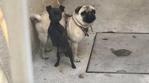 Texto del párrafo - 2025-05-07T114000.065.jpg