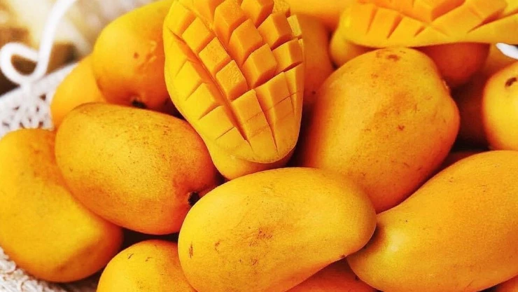 mango ataulfo.jpeg