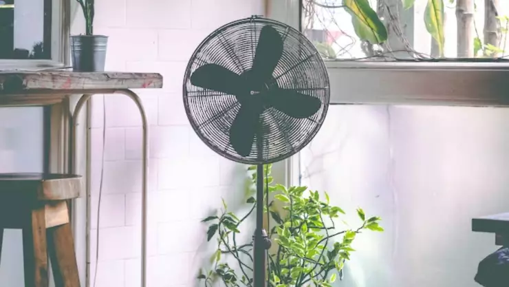 Ola de Calor Quintana Roo_ 5 consejos para refrescar tu casa