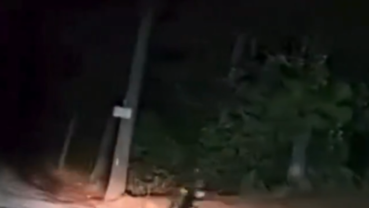 ¡En plena madrugada! Niño “fantasma” sorprende a un conductor en la carretera