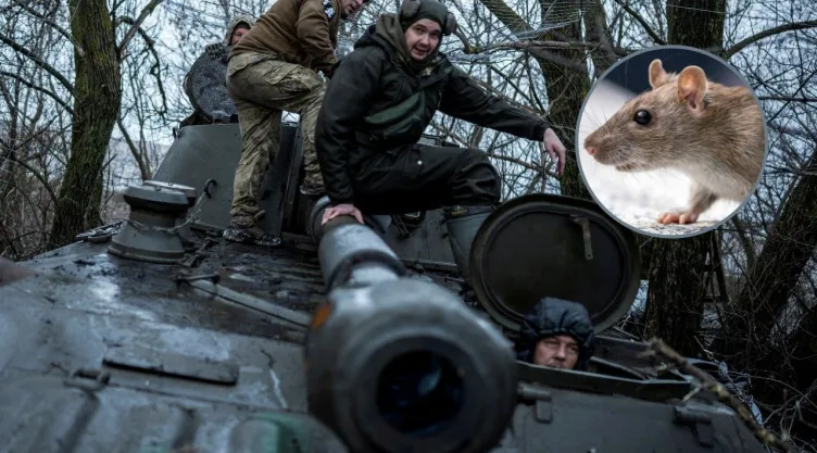 ratas-guerra-ucrania-rusia