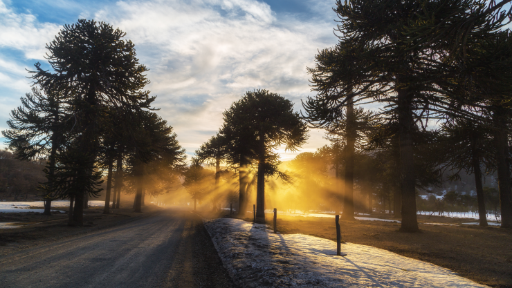 Solsticio invierno hoy