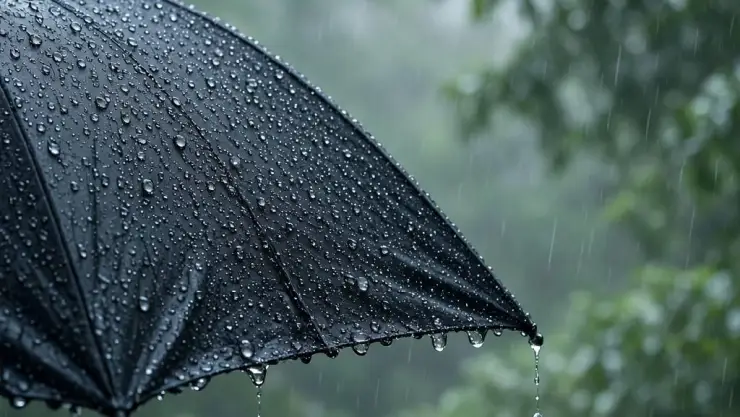 ¡Lluvias y fuertes vientos! Este es el pronóstico del clima HOY martes 11 de agosto en Campeche