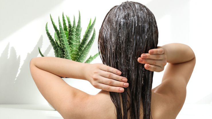 mascarilla de sábila aloe vera cabello