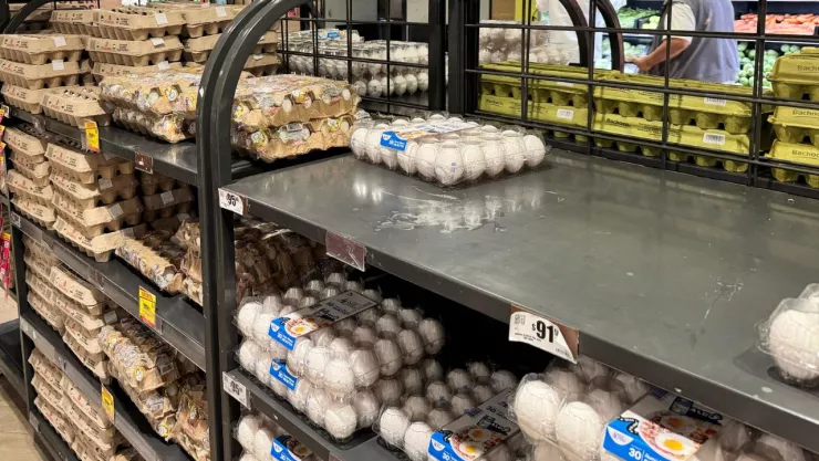 Precio del huevo en México