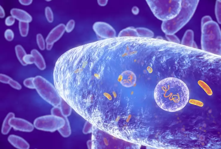 Por qué la vacunación es importante en la tos ferina