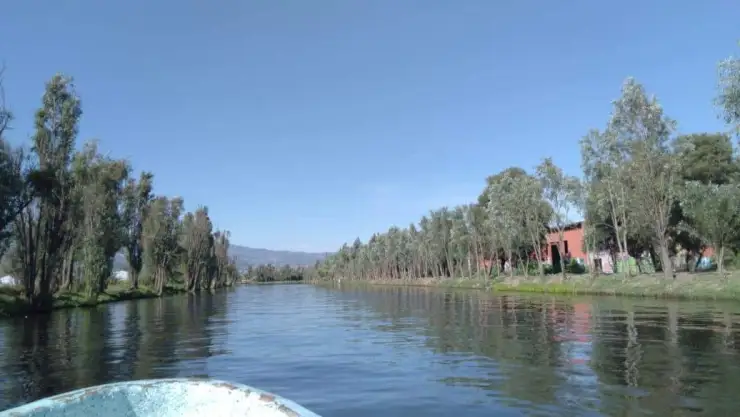 xochimilco.jpg