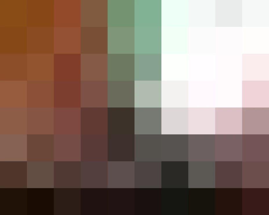 Rosario Robles, secretaria de Desarrollo Social