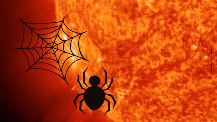 ¡Impresionante! Telescopio Webb de la NASA capta una tarántula cósmica.
