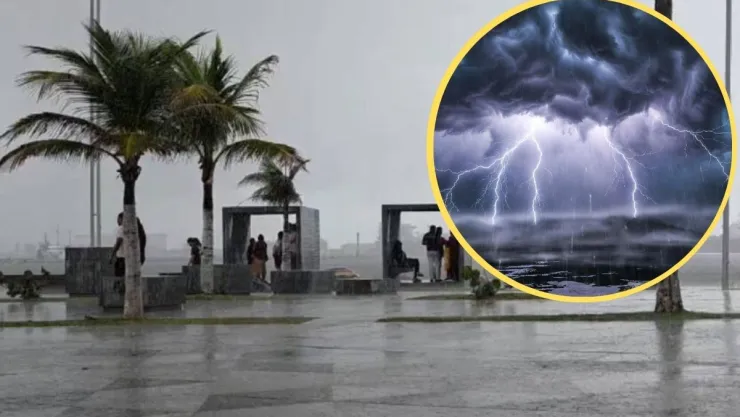 Nueva Tormenta Negra