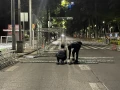 Revive los mejores momentos de la Segunda Carrera Juguetón