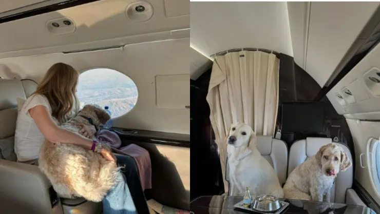 BARK AIR