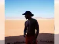 Lewis Hamilton (8).jpg