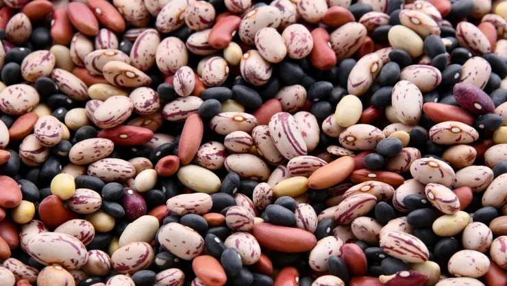 ¿Cómo eliminar los gorgojos de tus alimentos?