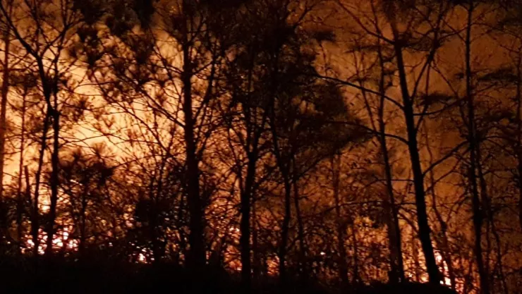 Se aviva incendio forestal en Santiago, Nuevo León