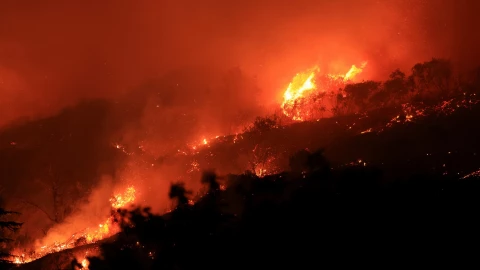 Incendio forestal en EU