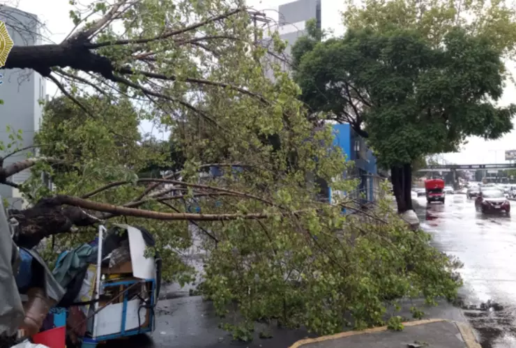 Alerta amarilla por fuertes lluvias CDMX 9 de agosto inundaciones