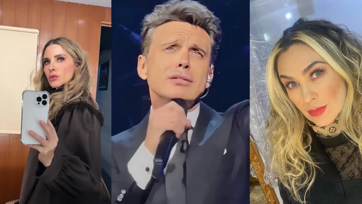 ¿Quiénes han sido las parejas más famosas de Luis Miguel?