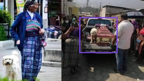 Lomito acompaña a su dueña hasta el final.