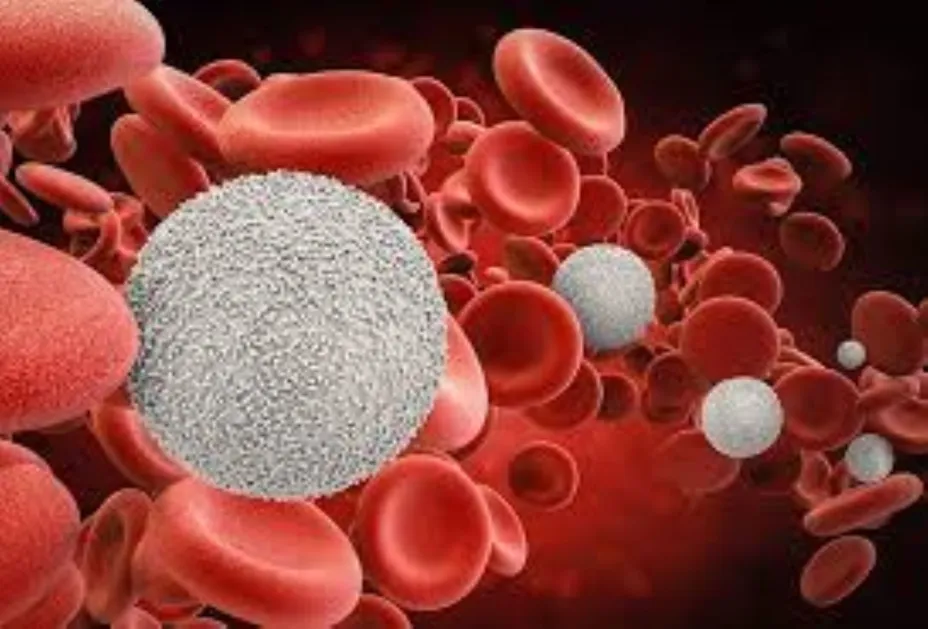 Cáncer de Sangre.jpg