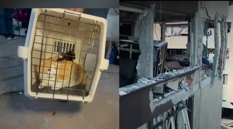 Explosión por acumulación de gas en Taxqueña: vecinos regresar por documentos y mascotas