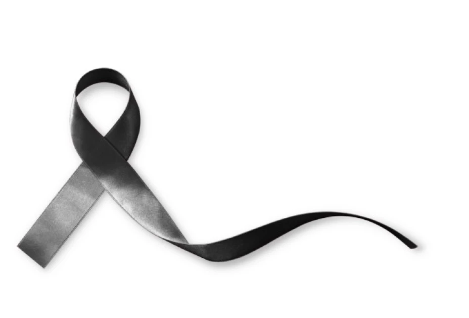 feminicidios senado.jpg