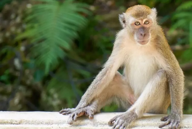 Efemérides del 14 de diciembre_ ¿Qué sucedió un día como hoy_.jpg