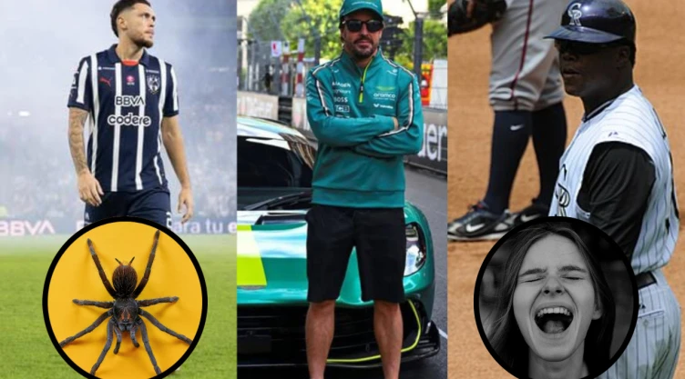 Tranquilo, no eres el único: estos famosos deportistas también le tienen miedo a las arañas