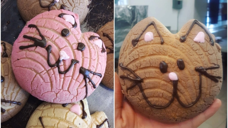 michoconchas_pan_cdmx.jpg