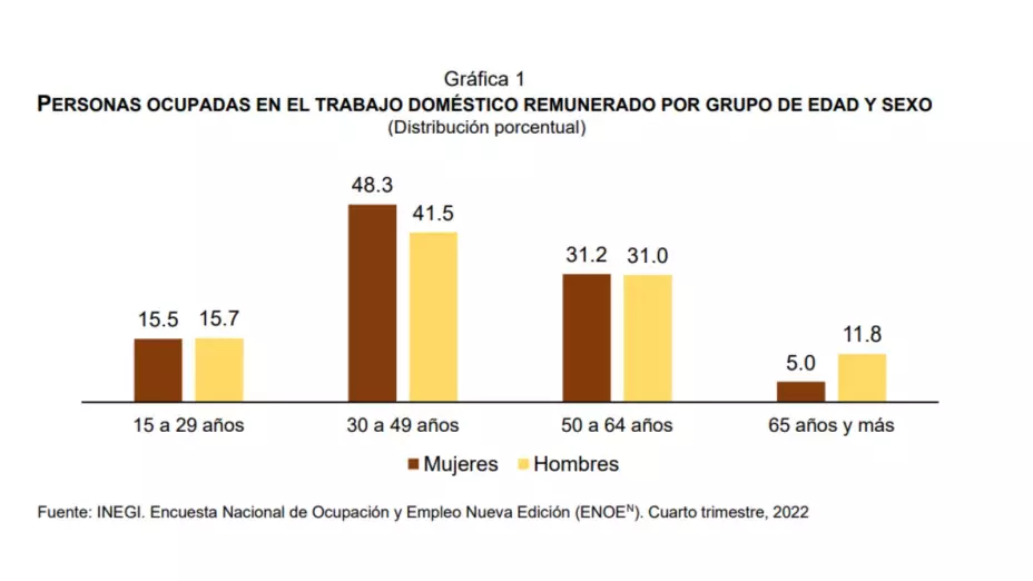 trabajo-domestico-México-Día-de-las-trabajadoras-del-hogar-30-de-marzo-2023