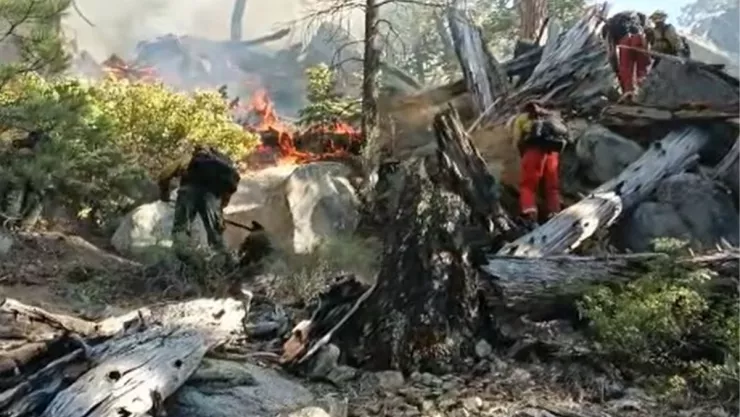 Incendio forestal en Sierra de San Pedro Mártir en Baja California consume 360 hectáreas.