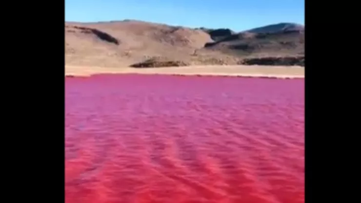 El Río Nilo se tiñe de sangre