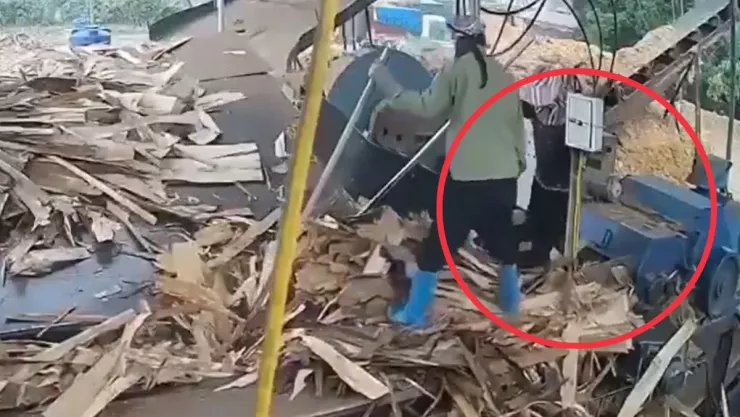 Mujer es tragada por trituradora en Vietnam