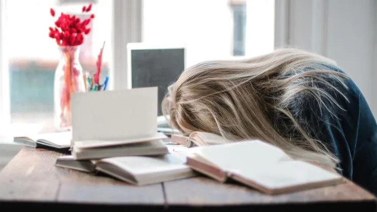 trabajo 25 de diciembre.jpg