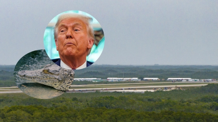 Nueva cárcel migratoria de Trump en Florida es polémica por su ubicación en los Everglades y por estar rodeada de caimanes.