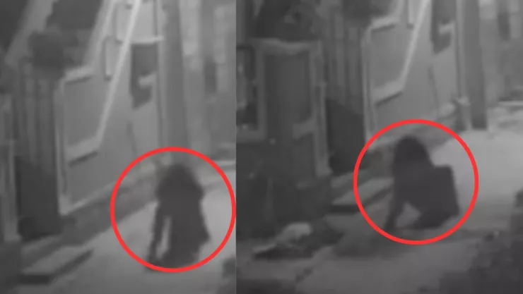 Nahual en Martínez de la Torre