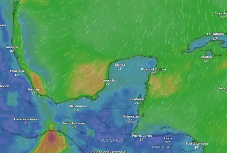 Clima hoy en Yucatán 8 de enero de 2025_ Frente frío 21 provocará helado amanecer